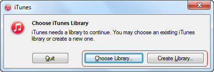 Choose iTunes Library